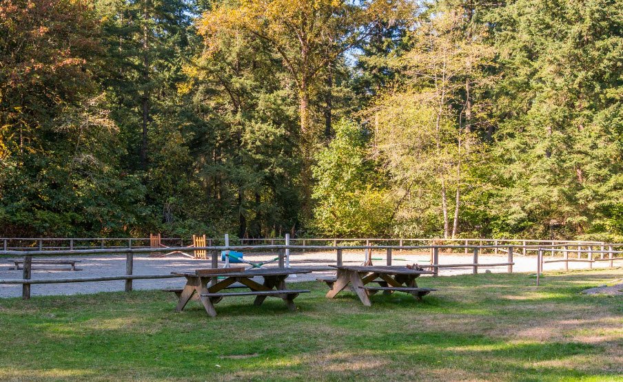 Bridle Trails State Park